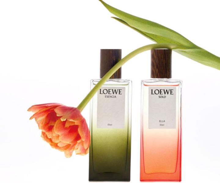  LOEWE對香相互共鳴